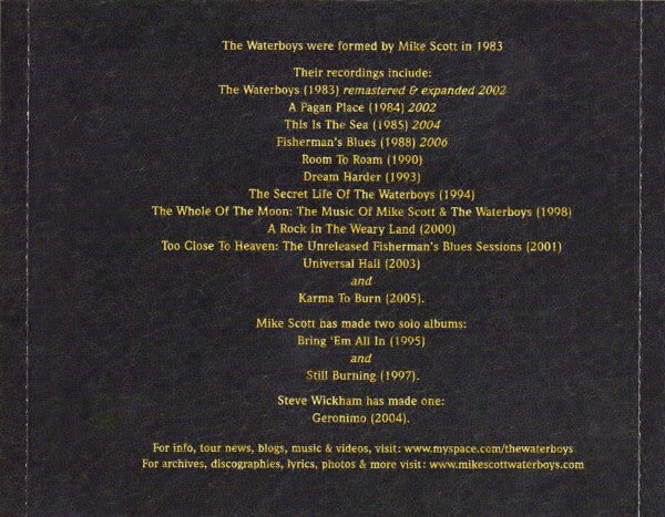 The Waterboys : Book Of Lightning (CD, Album)