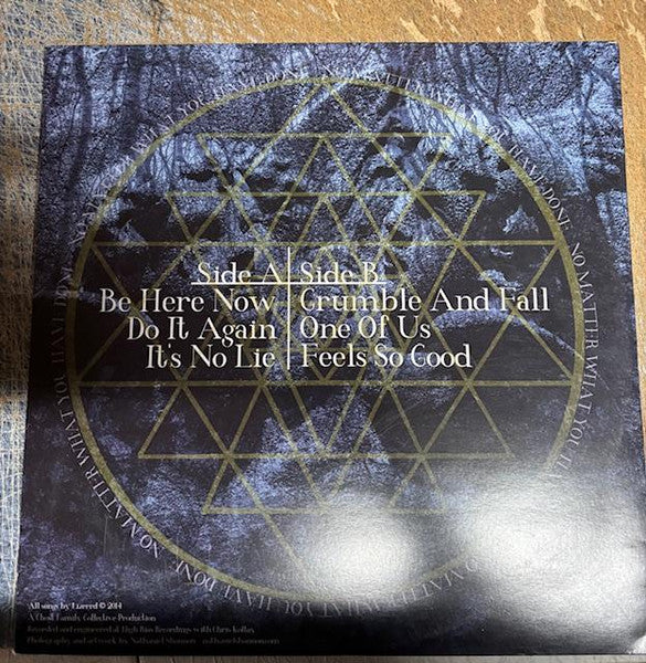 Lizerrd : No Matter What You Have Done (LP, MiniAlbum)