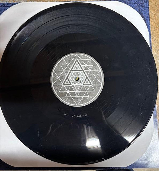 Lizerrd : No Matter What You Have Done (LP, MiniAlbum)