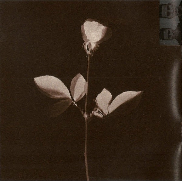 Depeche Mode : Violator (CD, Album, Club, BMG)