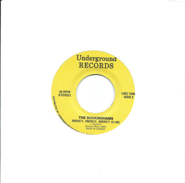 The Buckinghams : Don't You Care (7", RE)