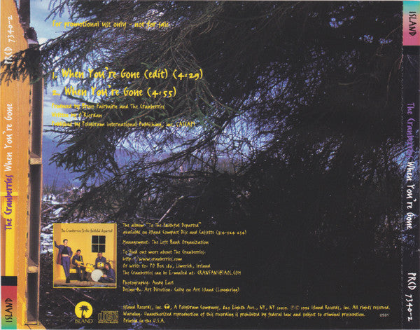 The Cranberries : When You're Gone (CD, Single, Promo)