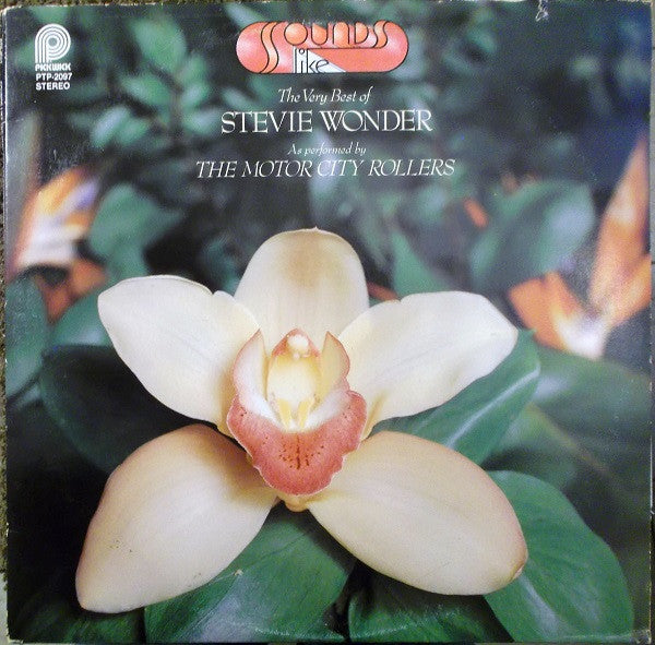 The Motor City Rollers* : Sounds Like The Very Best Of Stevie Wonder (2xLP, Comp)