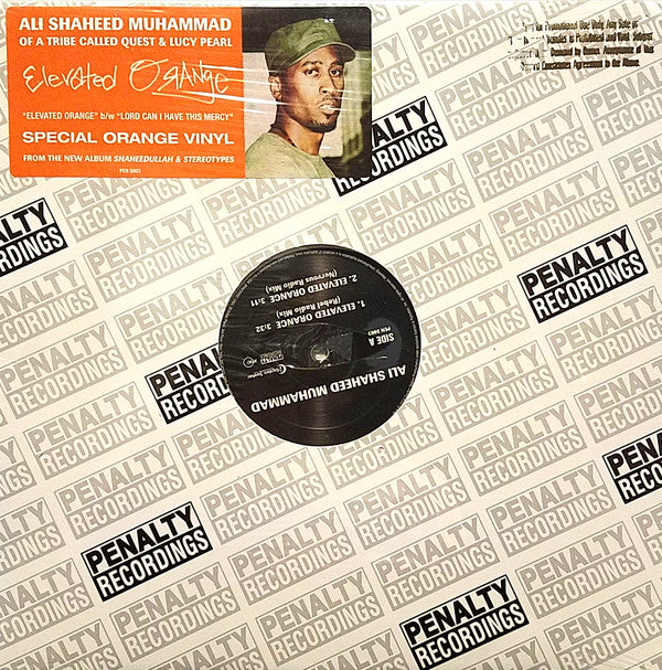 Ali Shaheed Muhammad : Elevated Orange / Lord Can I Have This Mercy (12", Promo, Ora)