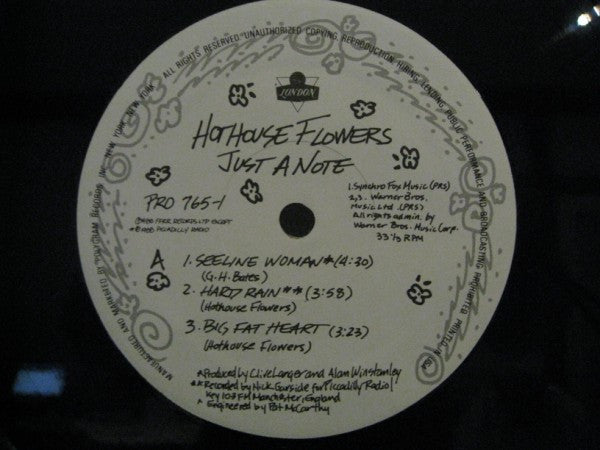 Hothouse Flowers : Just A Note (12", MiniAlbum, Promo)