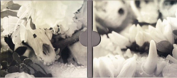 Soundgarden : King Animal (CD, Album, Gat)
