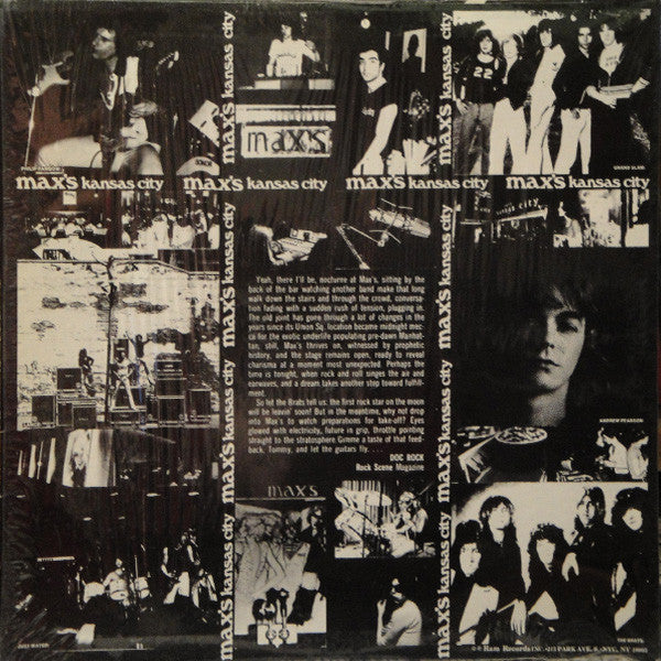 Various : Max's Kansas City Volume II 1977 (LP, Comp)