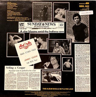 John Cougar Mellencamp : Chestnut Street Incident (LP, Album)