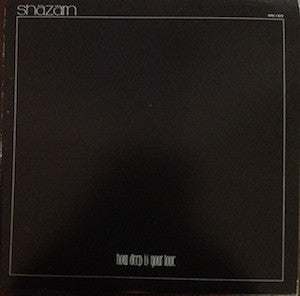 Shazam (15) : How Deep Is Your Love (LP, Album)