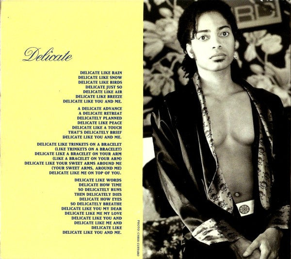 Terence Trent D'Arby Featuring Des'ree : Delicate (CD, Single, Dig)