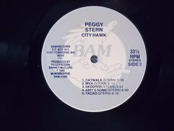 Peggy Stern : City Hawk (LP)