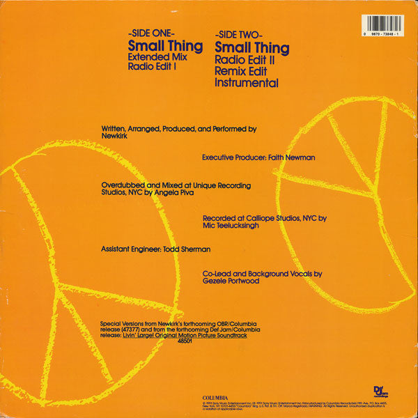 Newkirk : Small Thing (12")