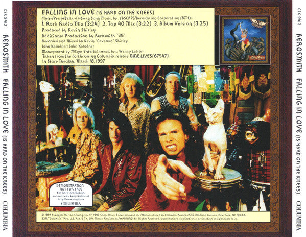 Aerosmith : Falling In Love (Is Hard On The Knees) (CD, Promo)