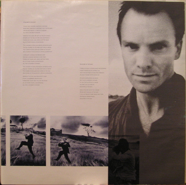 Sting : The Dream Of The Blue Turtles (LP, Album, Ind)