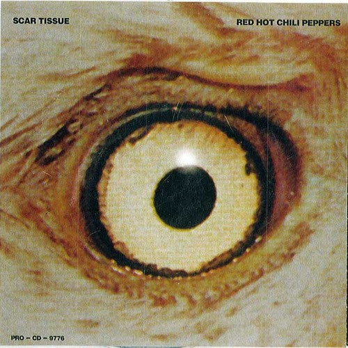 Red Hot Chili Peppers : Scar Tissue (CD, Single, Promo)