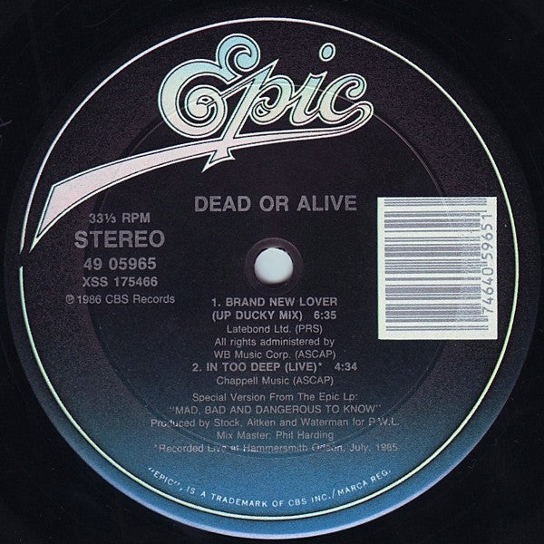 Dead Or Alive : Brand New Lover (12", Single)