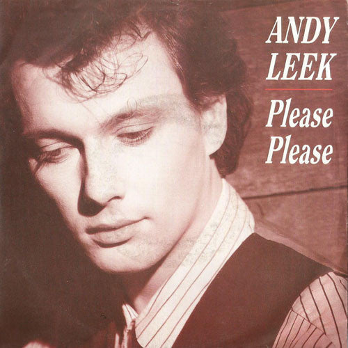 Andy Leek : Please Please (7")