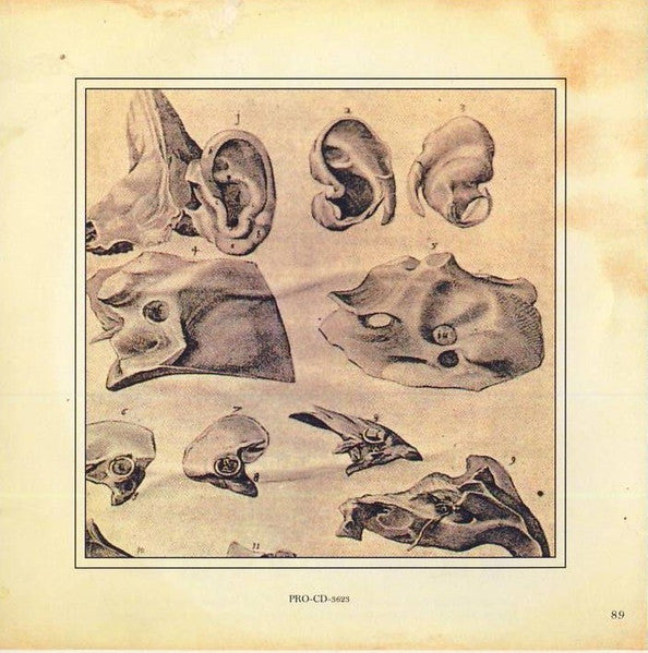 Various : Sounds By Light (CD, Comp, Promo)