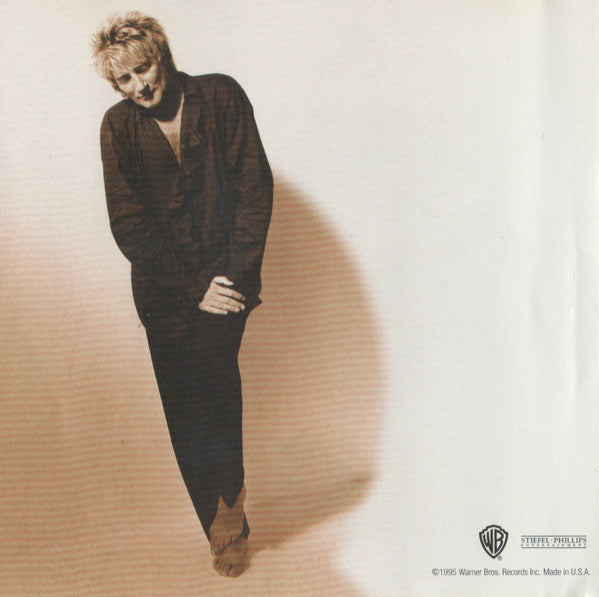 Rod Stewart : A Spanner In The Works (CD, Album)