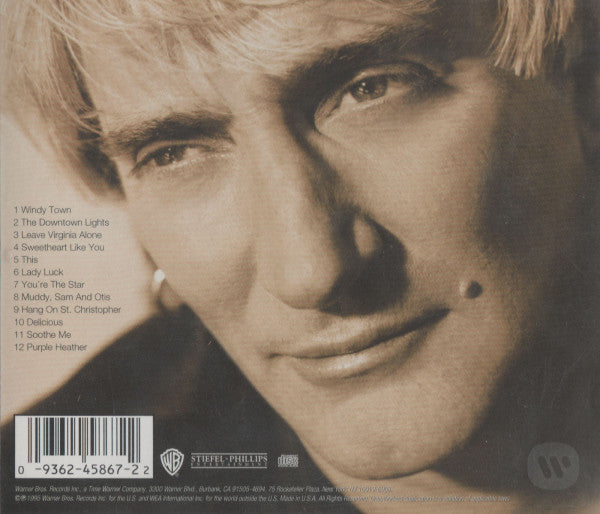 Rod Stewart : A Spanner In The Works (CD, Album)