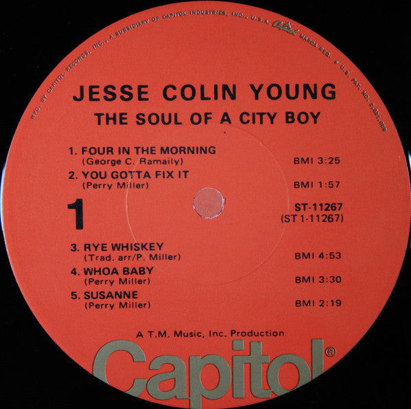 Jesse Colin Young : The Soul Of A City Boy (LP, Album, RE, Los)