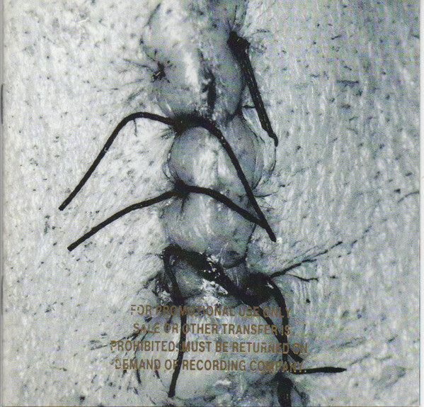 Scheer : Infliction (CD, Album)