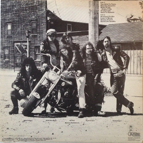 The Boyzz : Too Wild To Tame (LP, Album, Ter)
