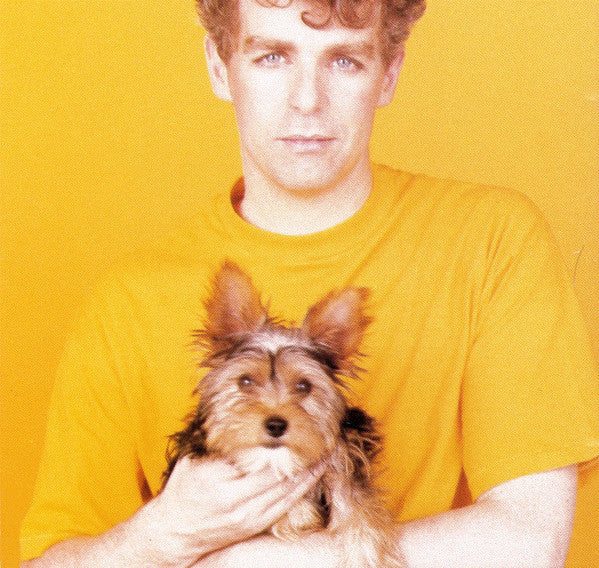 Pet Shop Boys : Introspective (CD, Album, Club)