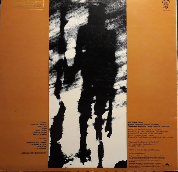 Tony Banks : A Curious Feeling (LP, Album, Promo, 56 )