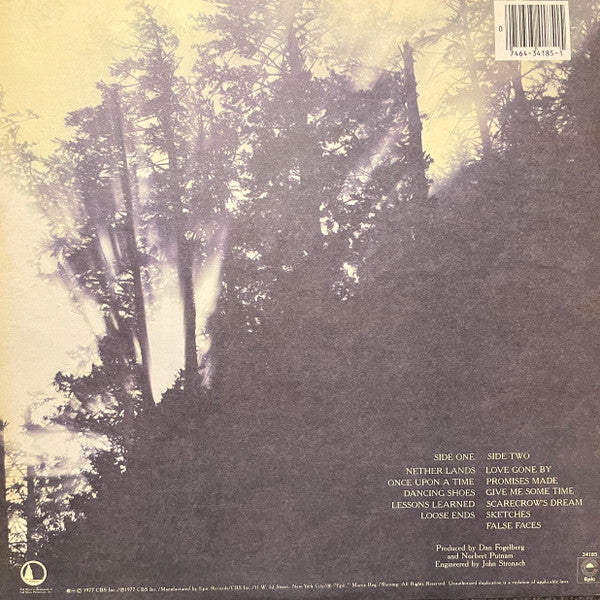 Dan Fogelberg : Nether Lands (LP, Album, RE, Pit)
