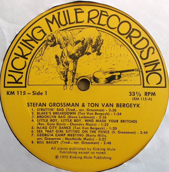 Stefan Grossman & Ton Van Bergeijk : How To Play Ragtime Guitar (LP, RE)