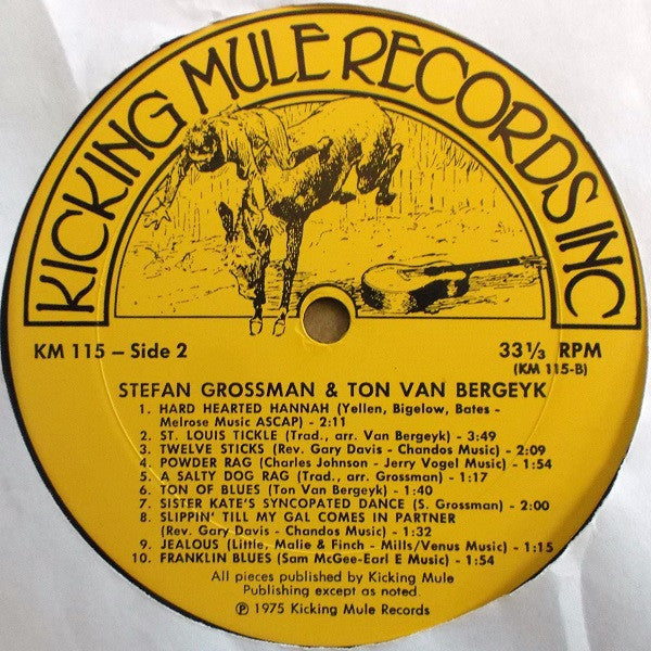 Stefan Grossman & Ton Van Bergeijk : How To Play Ragtime Guitar (LP, RE)