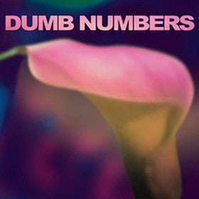 Dumb Numbers : Dumb Numbers (LP, Album, Blu)
