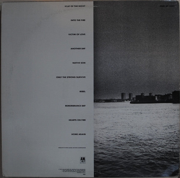 Bryan Adams : Into The Fire (LP, Album, Club)