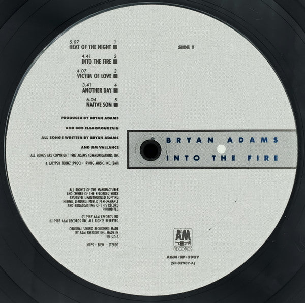 Bryan Adams : Into The Fire (LP, Album, Club)