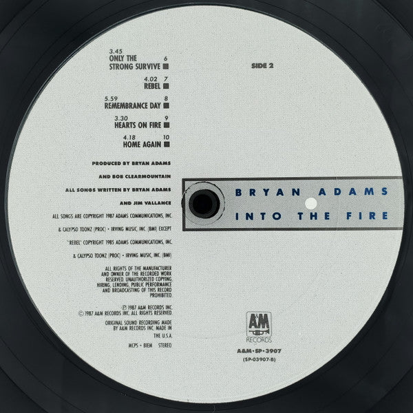 Bryan Adams : Into The Fire (LP, Album, Club)