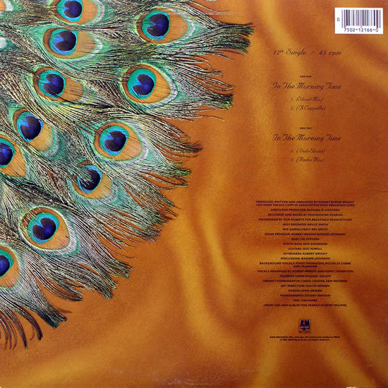 Tramaine : In The Morning Time (12", Single, Ind)
