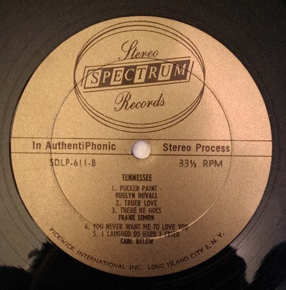 Various : Tennessee (LP, Album)