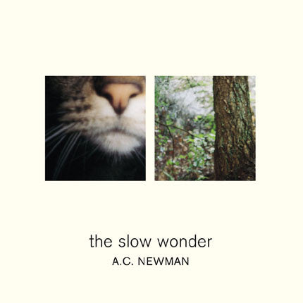 A.C. Newman : The Slow Wonder (CD, Album)