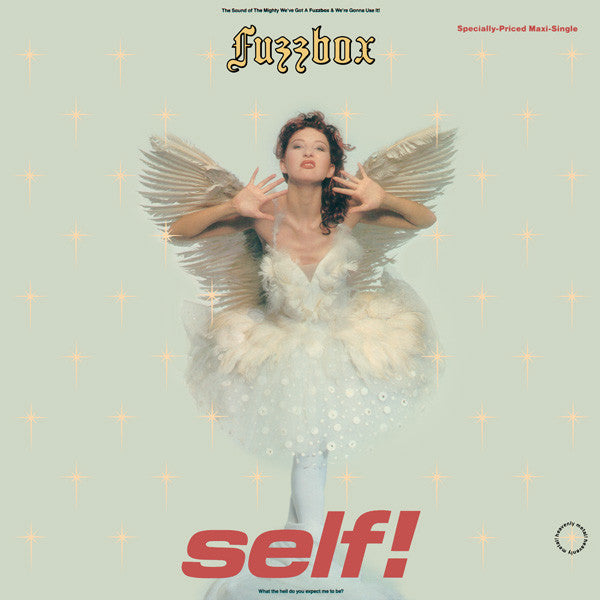 We've Got A Fuzzbox And We're Gonna Use It : Self! (12", Maxi)