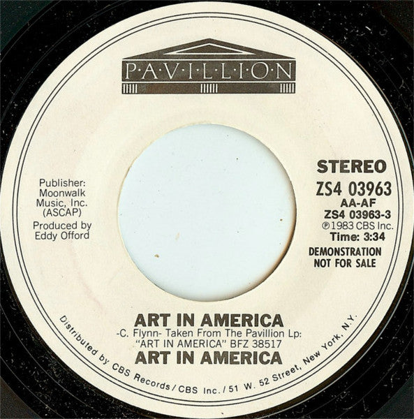Art In America : Art In America (7", Promo, Styrene, Pit)