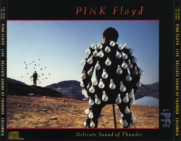 Pink Floyd : Delicate Sound Of Thunder (2xCD, Album)