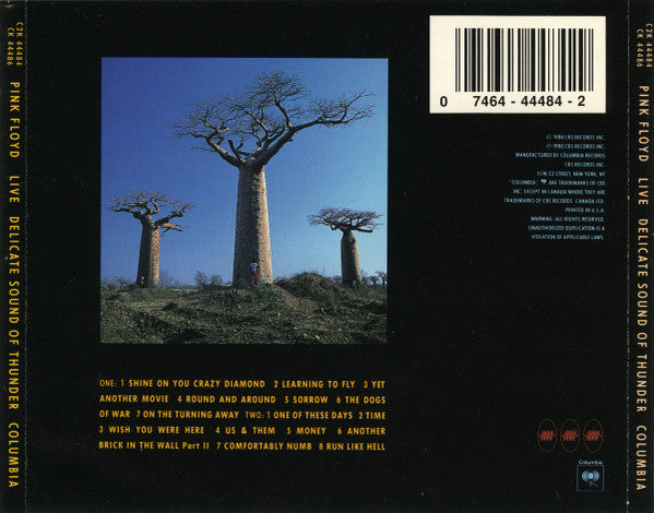 Pink Floyd : Delicate Sound Of Thunder (2xCD, Album)