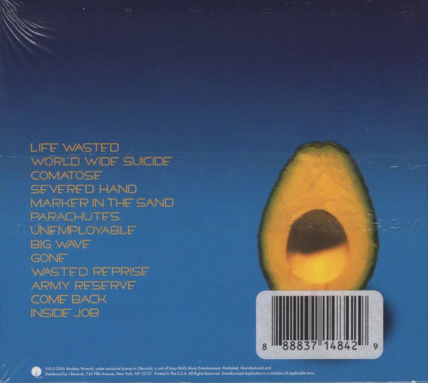 Pearl Jam : Pearl Jam (CD, Album, Dig)