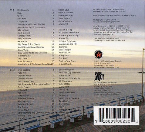 Various : Light Of Day - A Tribute To Bruce Springsteen (2xCD, Comp)