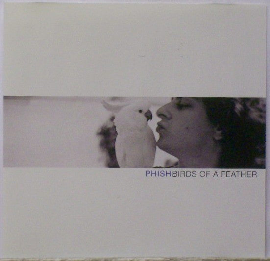 Phish : Birds Of A Feather (CD, Single, Promo)
