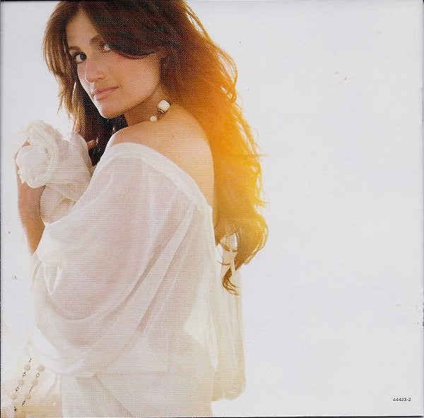 Idina Menzel : I Stand (CD, Album)