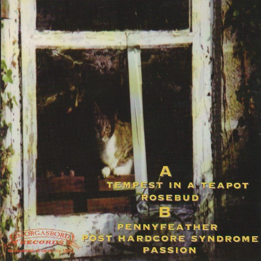 Trouble Is (2) : Tempest In A Teapot (7", EP, Gol)