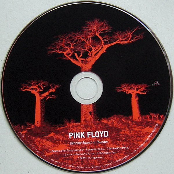 Pink Floyd : Delicate Sound Of Thunder (2xCD, Album, RE)