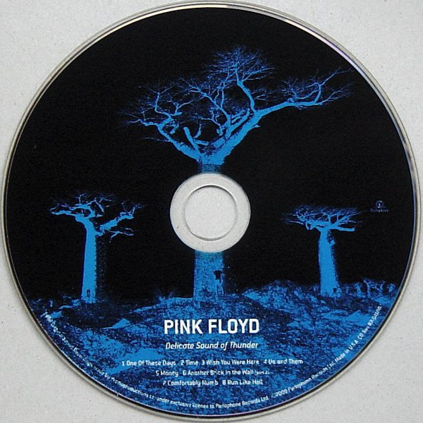 Pink Floyd : Delicate Sound Of Thunder (2xCD, Album, RE)